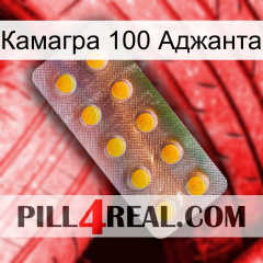 Камагра 100 Аджанта new11